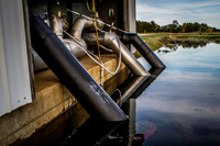Saratoga Cranberry Harvest 2013-008