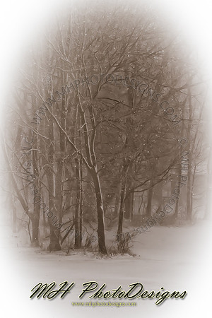December Projects 2010-020
