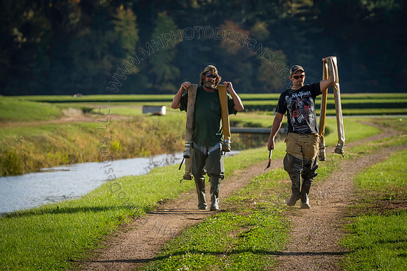 Saratoga Cranberry Harvest 2013-156