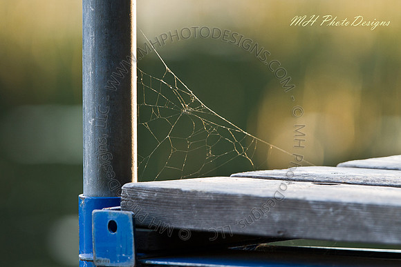 September Projects 2010-013