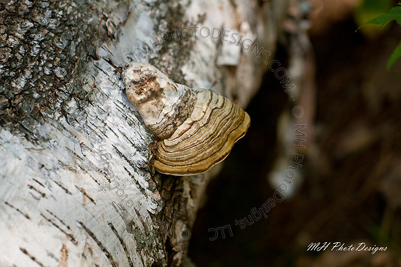 September Projects 2010-034