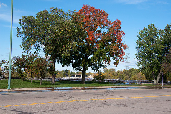 September Flood Waters 2010-182