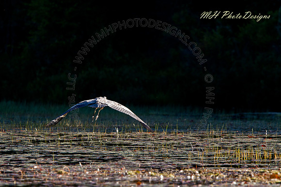 September Projects 2010-008
