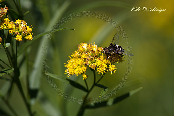 September Projects 2010-042