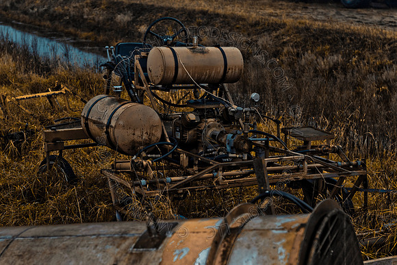 Cranberry Marsh III 2010-141