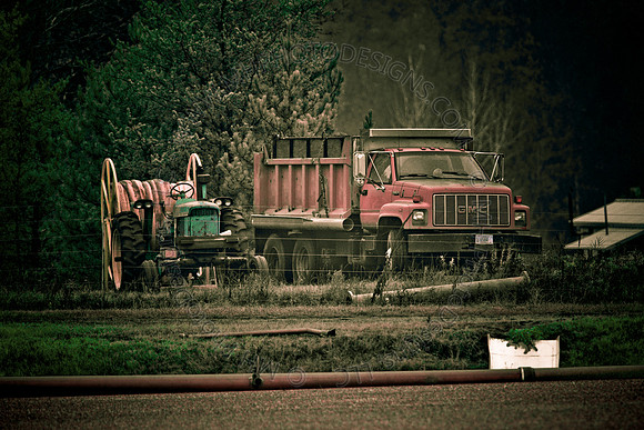 Cranberry Marsh III 2010-051