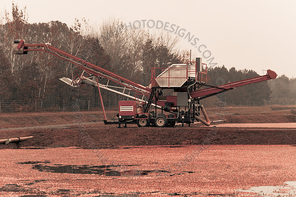 Cranberry Marsh III 2010-016