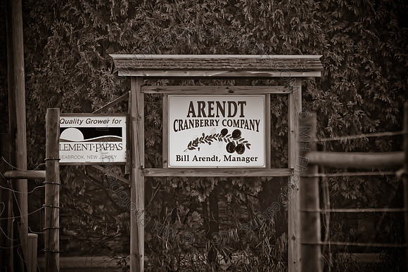 Cranberry Marsh III 2010-014