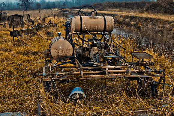 Cranberry Marsh III 2010-140