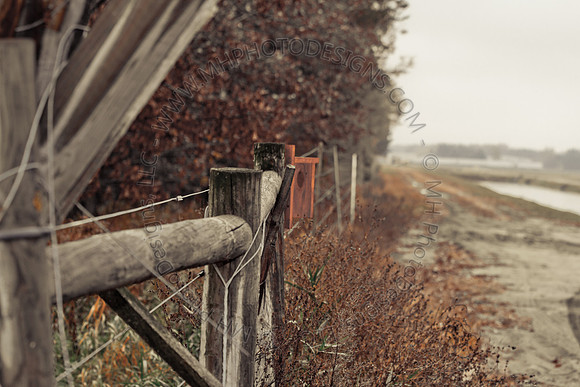 Cranberry Marsh III 2010-024