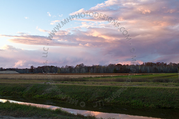 Cranberry Marsh III 2010-011