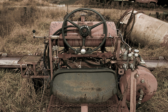 Cranberry Marsh III 2010-142
