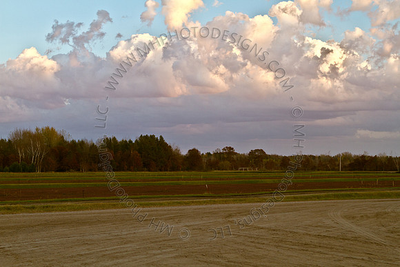 Cranberry Marsh III 2010-009
