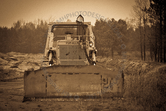 Cranberry Marsh III 2010-132