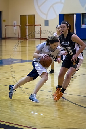 Nekoosa AMS Girls B-Ball 2012 (8th Grade)-016
