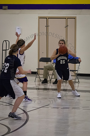 Nekoosa AMS Girls B-Ball 2012 (8th Grade)-016