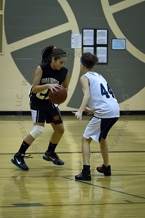 Nekoosa AMS Girls B-Ball 2012 (8th Grade)-081