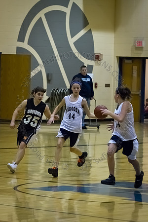 Nekoosa AMS Girls B-Ball 2012 (8th Grade)-087