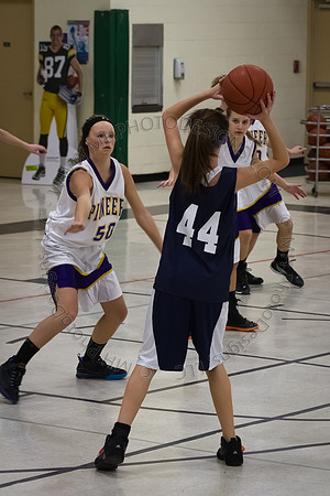 Nekoosa AMS Girls B-Ball 2012 (8th Grade)-012