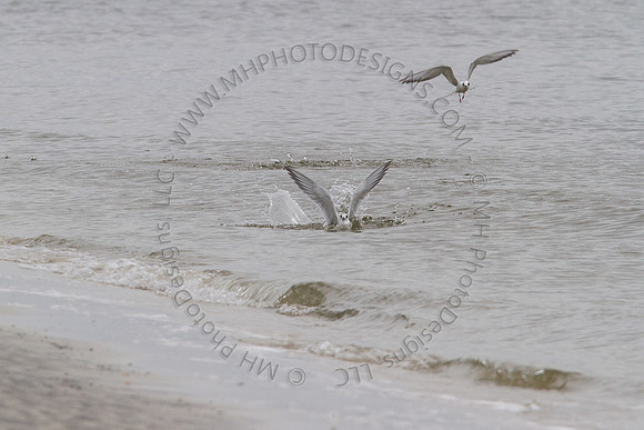 February Projects 2012-025
