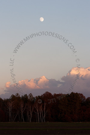 Cranberry Marsh III 2010-004