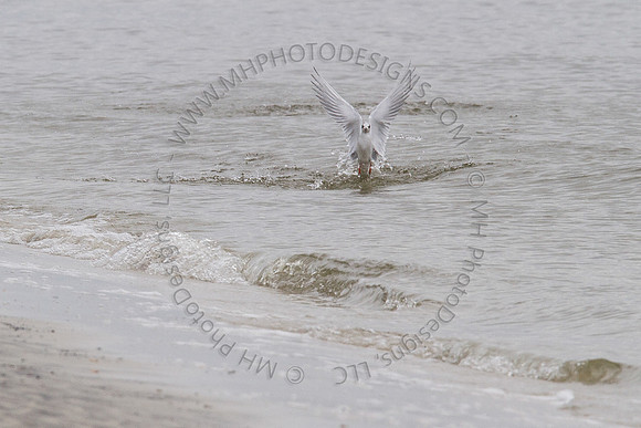 February Projects 2012-026