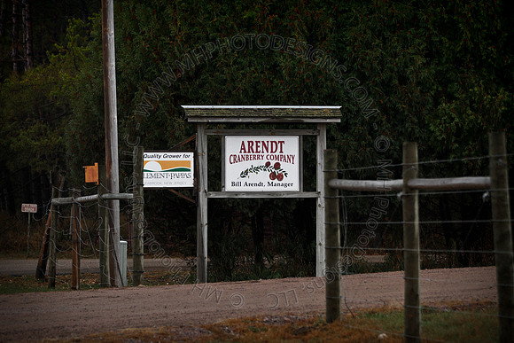 Cranberry Marsh III 2010-015