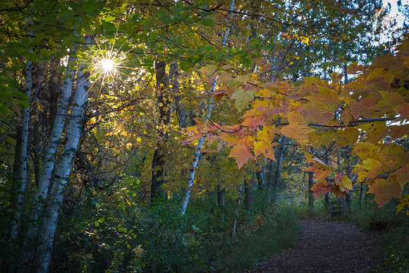 October Projects 2014-001