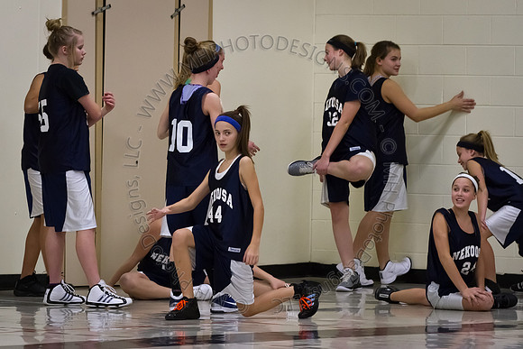 Nekoosa AMS Girls B-Ball 2012 (8th Grade)-002
