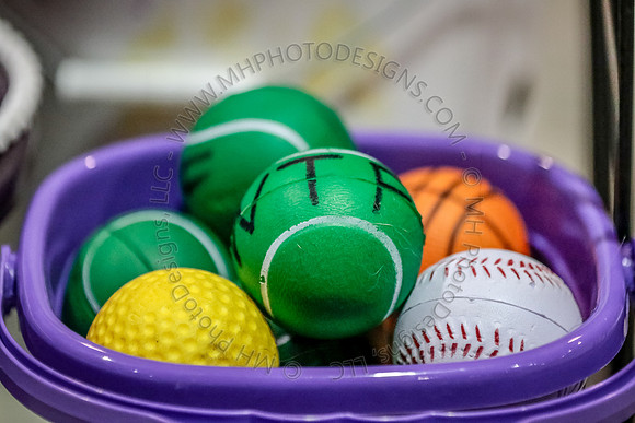 Flyball Competition 05-29 2015-020