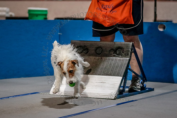 Flyball Competition 05-29 2015-019