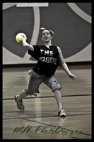 March Projects 2011-008