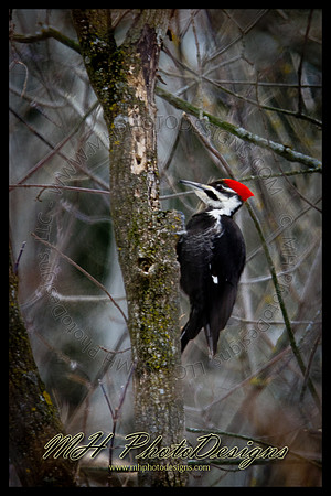 February Projects 2011-029