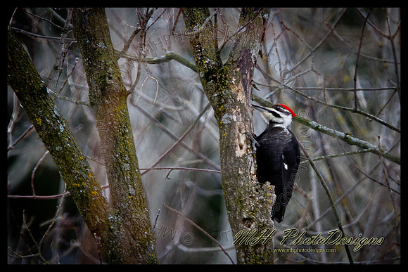 February Projects 2011-028