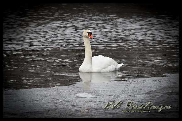 February Projects 2011-026