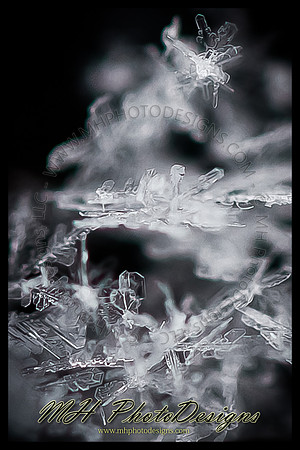 March Projects 2011-001