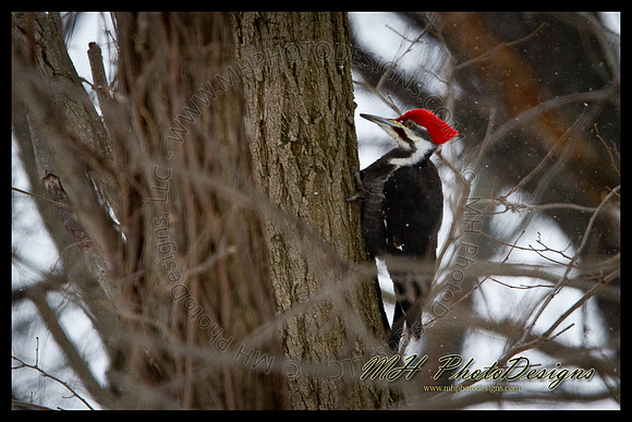 February Projects 2011-027