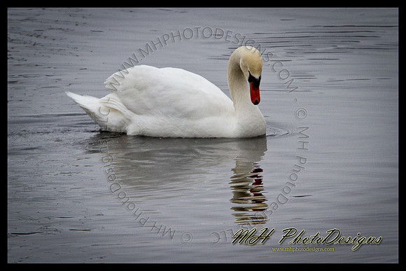February Projects 2011-034