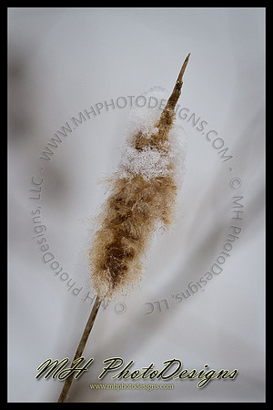 February Projects 2011-032