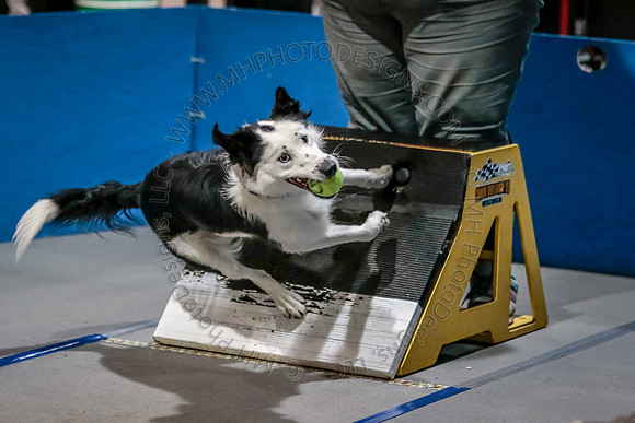 Flyball Competition 05-29 2015-005