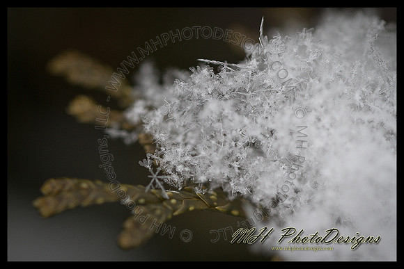 February Projects 2011-030
