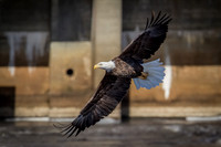 March Projects 2014-005