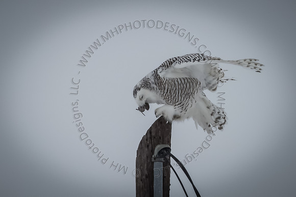 March Projects 2014-002
