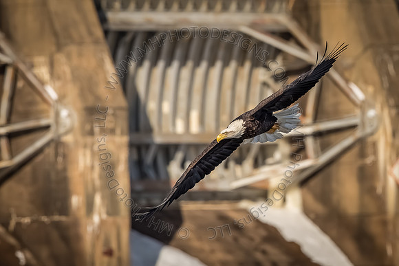 March Projects 2014-007