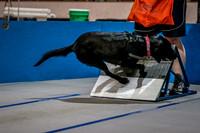 Flyball Competition 05-29 2015-015