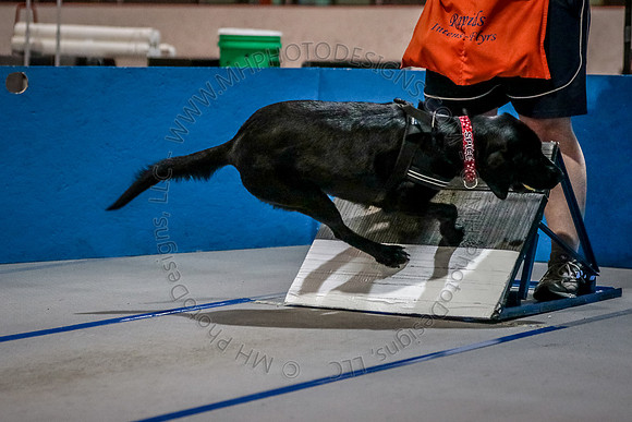 Flyball Competition 05-29 2015-015