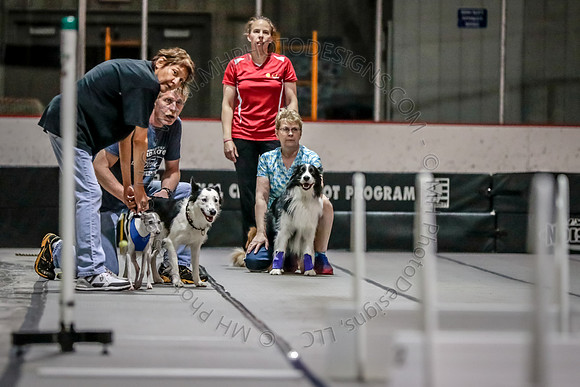 Flyball Competition 05-29 2015-001