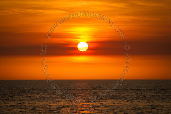 Florida 2012 ~ Week 4-129