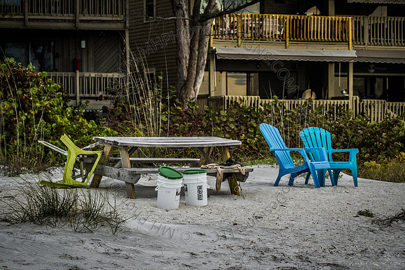 Florida 2012 ~ Week 4-225
