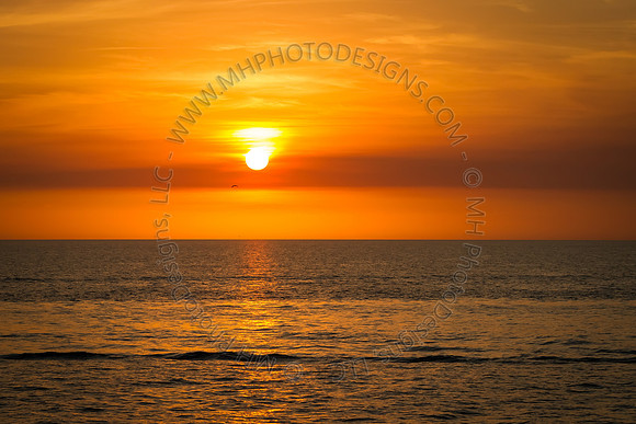 Florida 2012 ~ Week 4-127